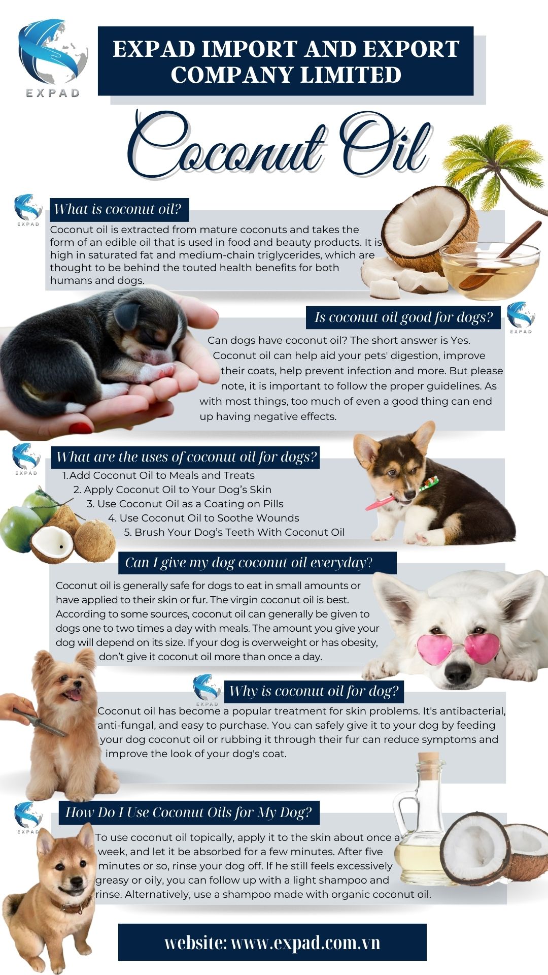 Green White Elegant Corporate Essential Oil Product List Instagram Story 11