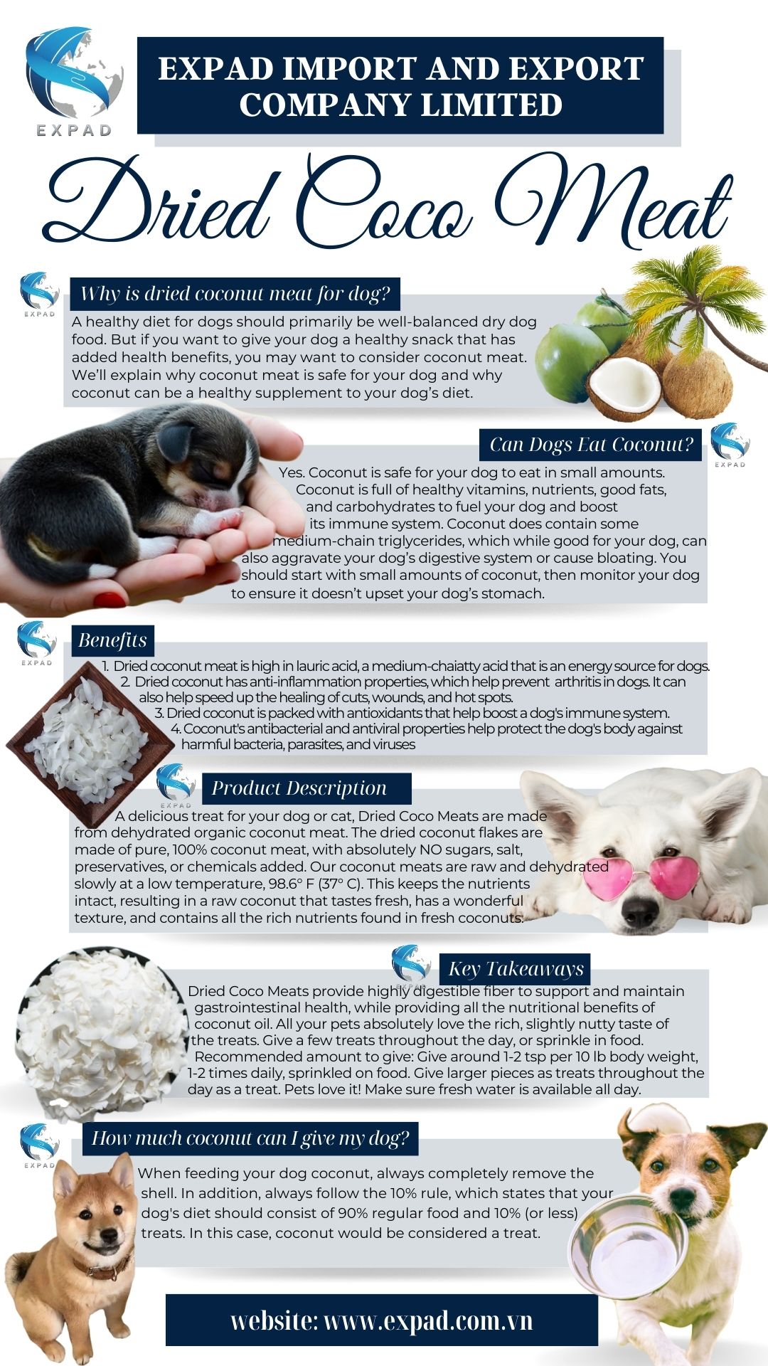 Green White Elegant Corporate Essential Oil Product List Instagram Story 17