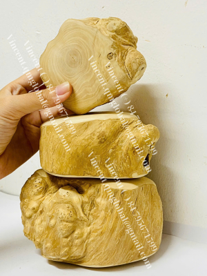 COFFEE WOOD ROOT CHEW