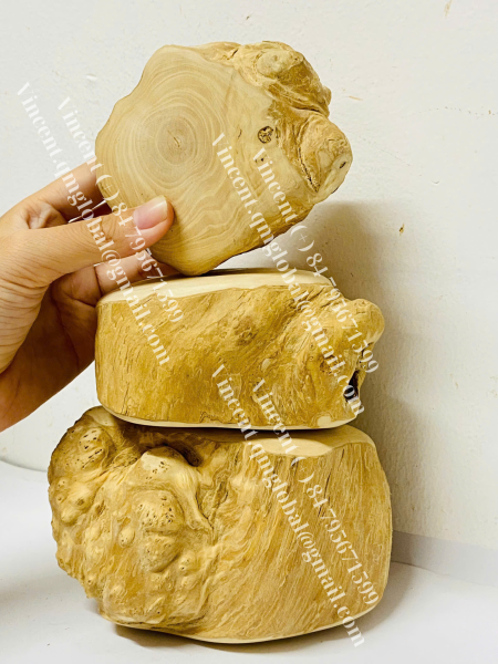 COFFEE WOOD ROOT CHEW
