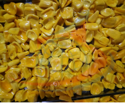 Dried Crispy Jackfruit Chips