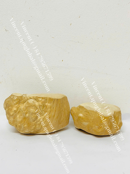 COFFEE WOOD ROOT CHEW