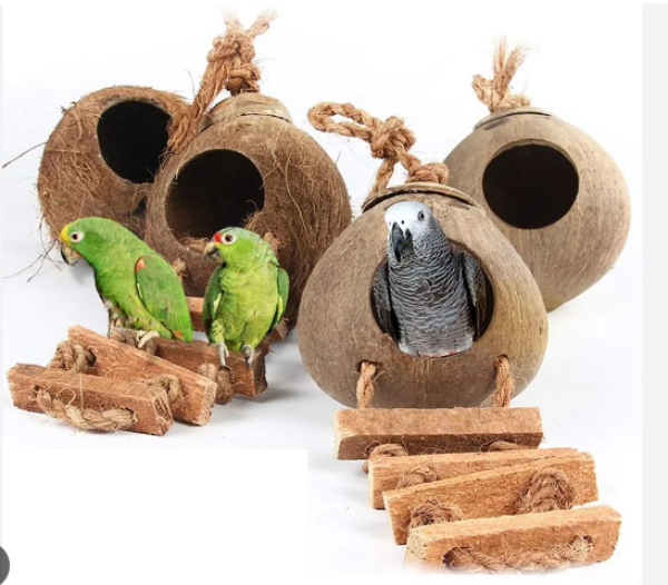 Bird Homes