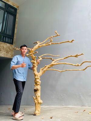 JAVA WOOD FLOOR STANDS FOR PARROTS