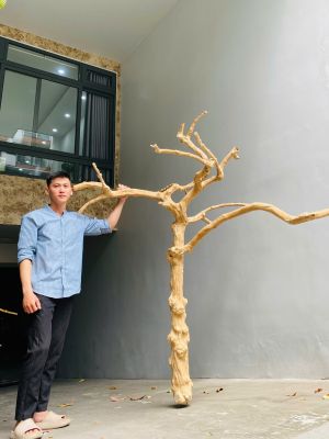 JAVA WOOD FLOOR STANDS FOR PARROTS