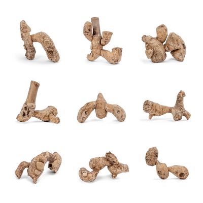 Natural Bamboo Root for Hamsters & Reptiles & Small pets
