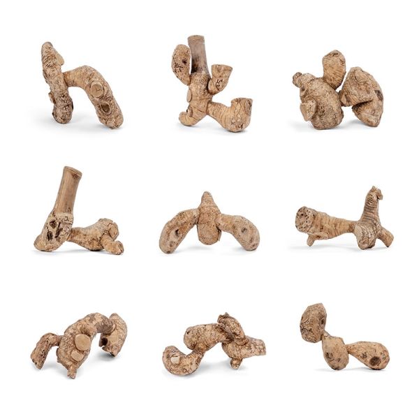 Natural Bamboo Root for Hamsters & Reptiles & Small pets