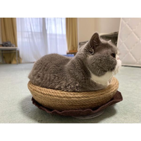 Jute Rope Bed For Cat