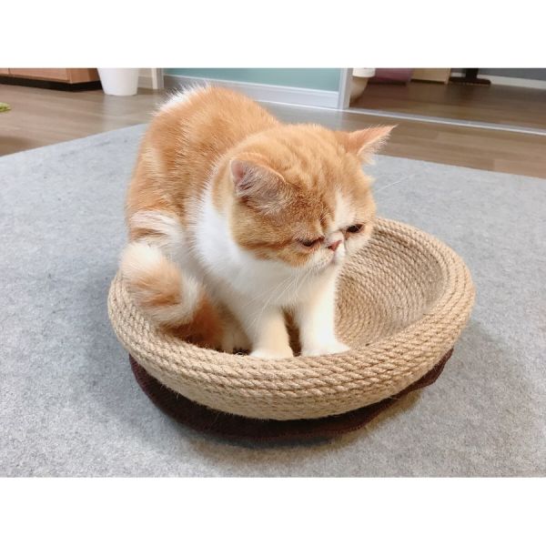 Jute Rope Bed For Cat