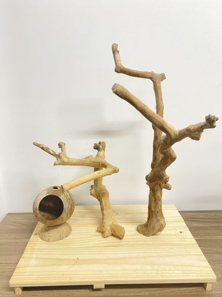 JAVA WOOD TREE STAND FOR PARROTS