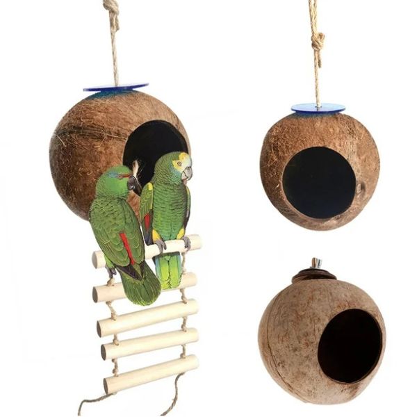 Bird Homes