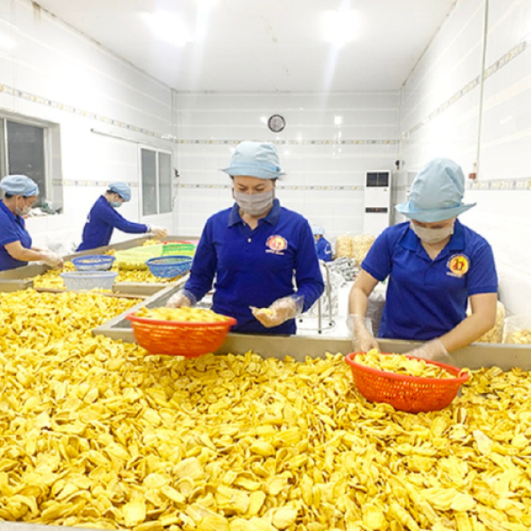 Dried Soft Jackfruits