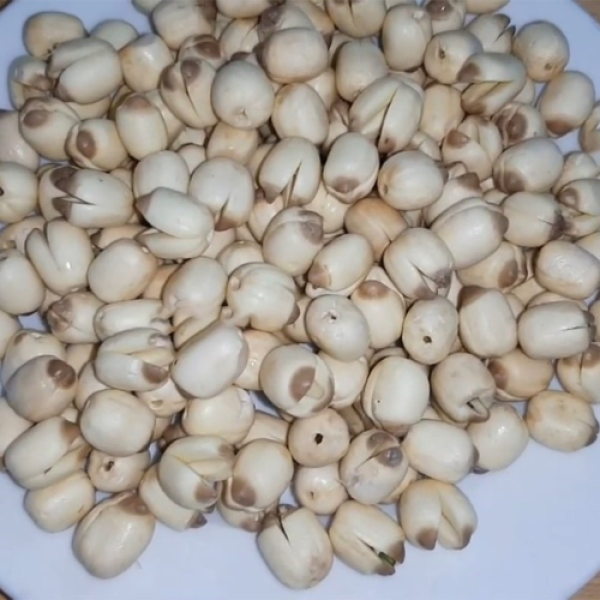 Dried Raw Lotus Seeds