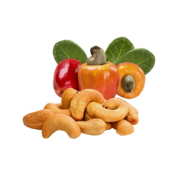 Roasted Cashew