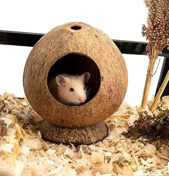 Hamster Homes