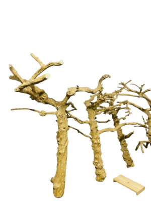 JAVA WOOD TREE STAND FOR PARROTS - SUPER LARGE