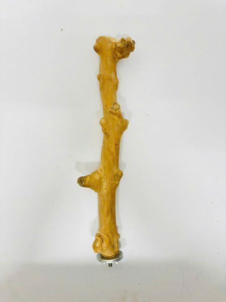 JAVA WOOD PEERCH - PREMIUM