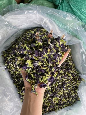 Butterfly Pea Tea