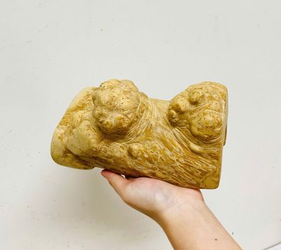 Hideout for reptiles